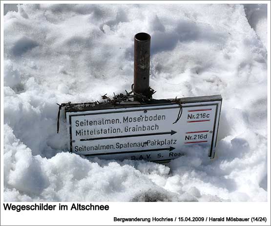 Wegeschilder im Altschnee