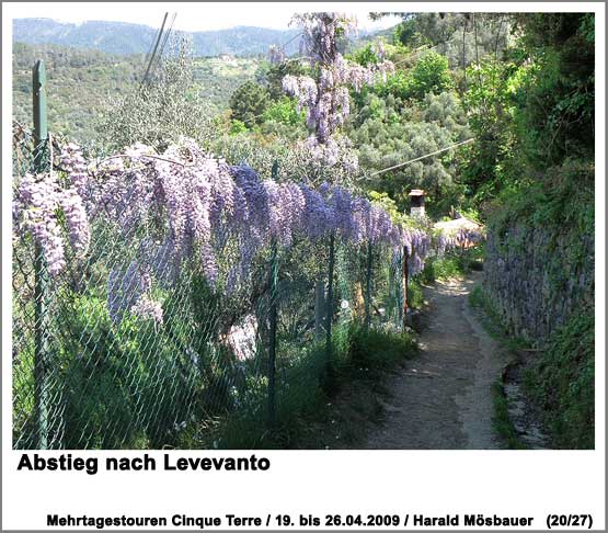 Abstieg nach Levevanto