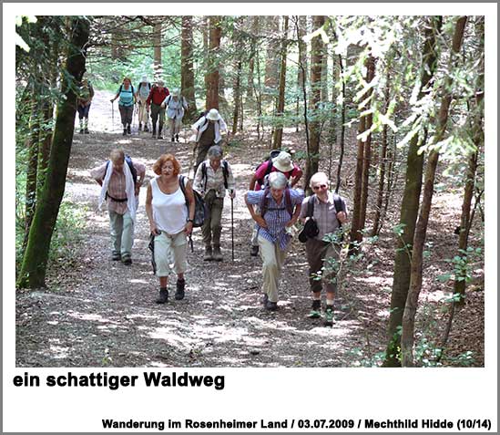 ein schattiger Waldweg