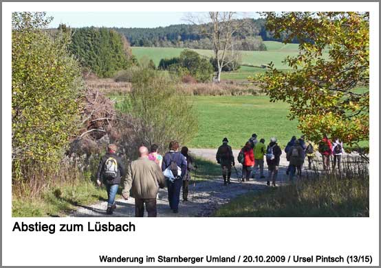 Abstieg zum Lüsbach