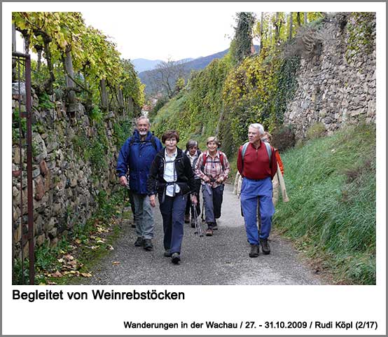 begleitet von Weinrebstöcken