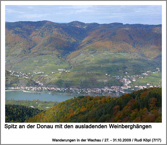 Spitz an der Donau mit den ausladenden Weinbergen