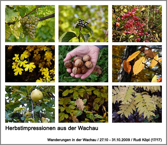 Herbstimpressionen aus der Wachau