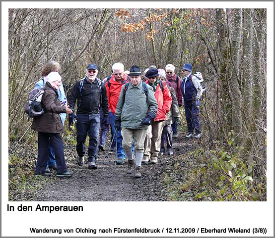 In den Amperauen