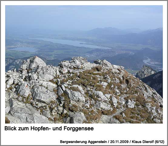 Blick zum Hopfen- und Forggensee