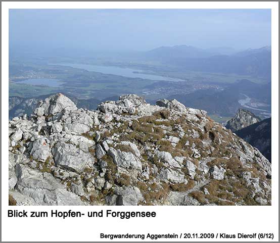 Blick zum Hopfen- und Forggensee