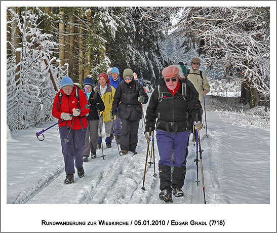 weiter geht's im Winterwald