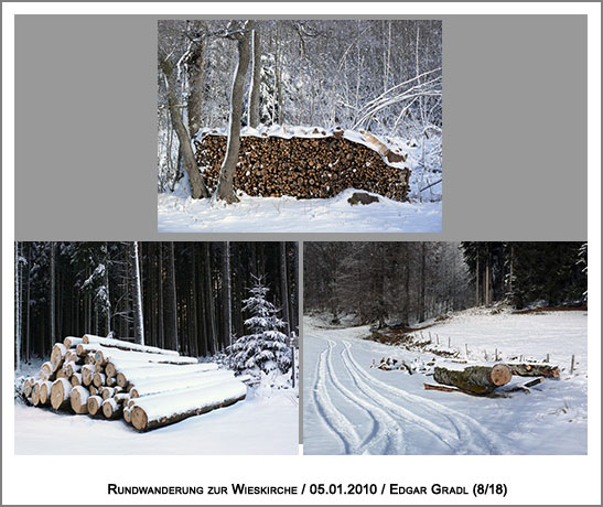 Winterzeit ist Holzfällzeit