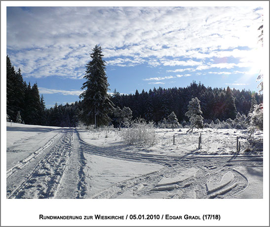 eine Waldlichtung