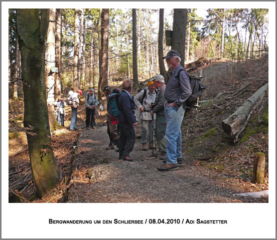 Rast im Wald