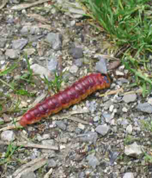 Mikrokosmos Benediktbeuern