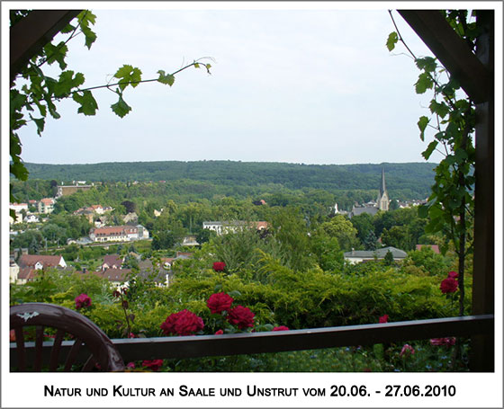 Blick auf Bad Kösen