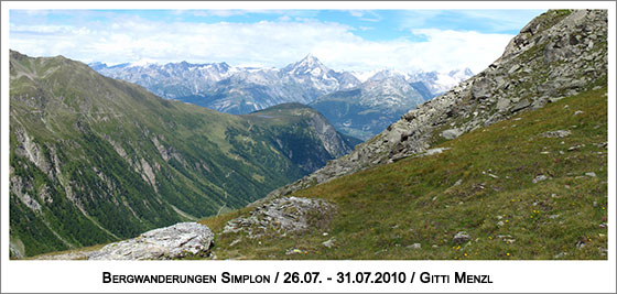 im Hintergrund die Berge des Berner Oberlandes