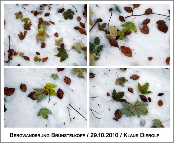 Herbst trifft Winter