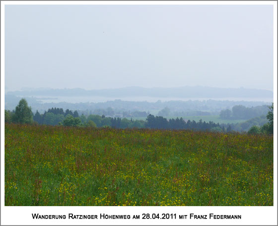 ein Blick zum Chiemsee