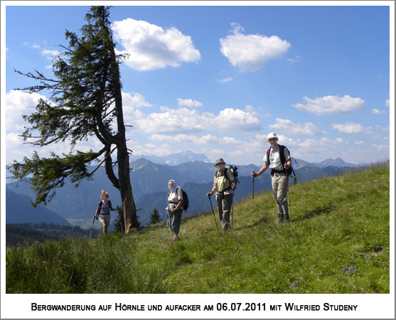 im Hintergrund das Wettersteingebirge