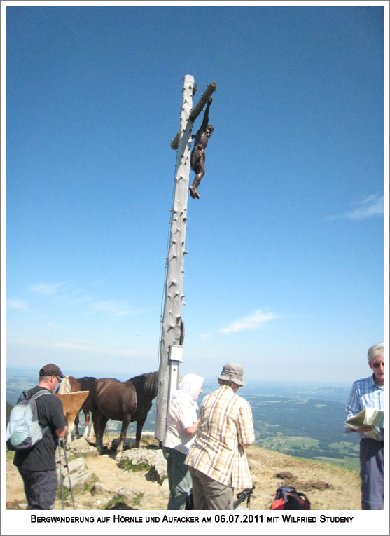 Gipfel vom Hinteren Hörnle mit hier freilaufenden Pferden