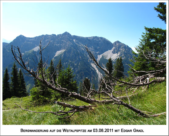 ganz nah, die Ammergauer Berge