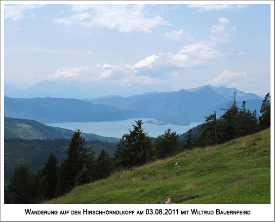 Blick auf den Walchensee