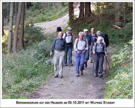 wir gehen den interessanteren Waldweg