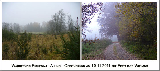 viel Nebel und wenig Weitblicke