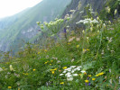 <p>bald regnet es</p>