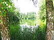 <p>Blick auf den Notzinger Weiher</p>