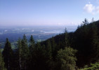 <p>Ausblick von der Bergstation</p>