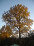 <p>Herbststimmung</p>