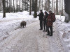 <p>4. Tag: Gehegezone im Nationalpark Wildschweinbegegnung</p>