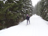 <p>4. Tag: Schnell unterwegs nach Altreichenau</p>