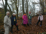 <p>Herbstwald &uuml;ber der Donau</p>