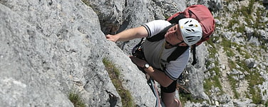 zur Gruppe