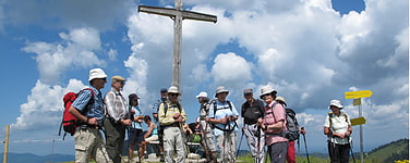 zur Gruppe
