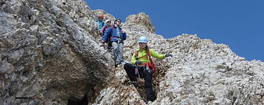 zur Gruppe