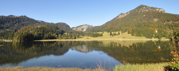 3 3_2972x1191+68+751_584x234