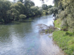 <p>Idyllisches Amperufer bei der Weiterfahrt</p>