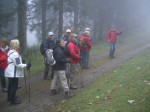 <p>Aufw&auml;rts im Wald</p>