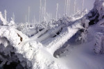 <p>3. Tag: Winterlandschaft am Grenzsteig</p>