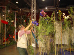 <p>In der Orchideenhalle</p>