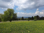 <p>Mit sch&ouml;nem Blick auf den Ammersee</p>