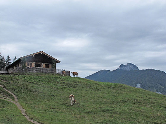 Geißalm mit Roß- und Buchstein