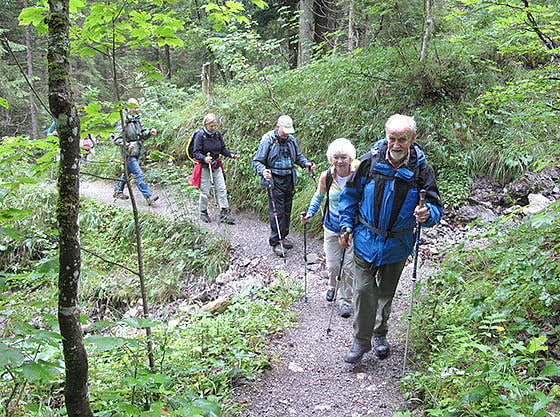 auf einem Waldweg ging's nach oben