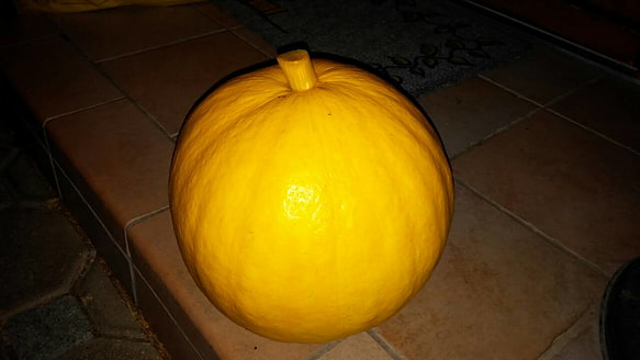 Ca. 6 kg schwerer Kürbis aus heimischen Anbau, gespendet von einem Mitglied