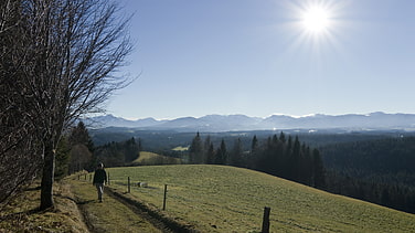 Der sonnige Weg am Fentberg