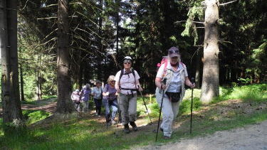 Erst einmal aufwärts durch den Wald