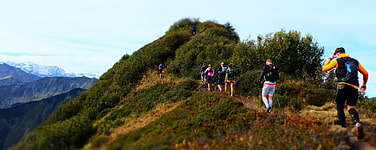 zur Gruppe
