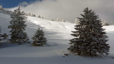 Traumhafte Skispuren von der Wasserspitz