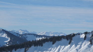 im Hintergrund das Wettersteingebirge mit Zugspitze