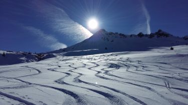 Spuren im Pulverschnee